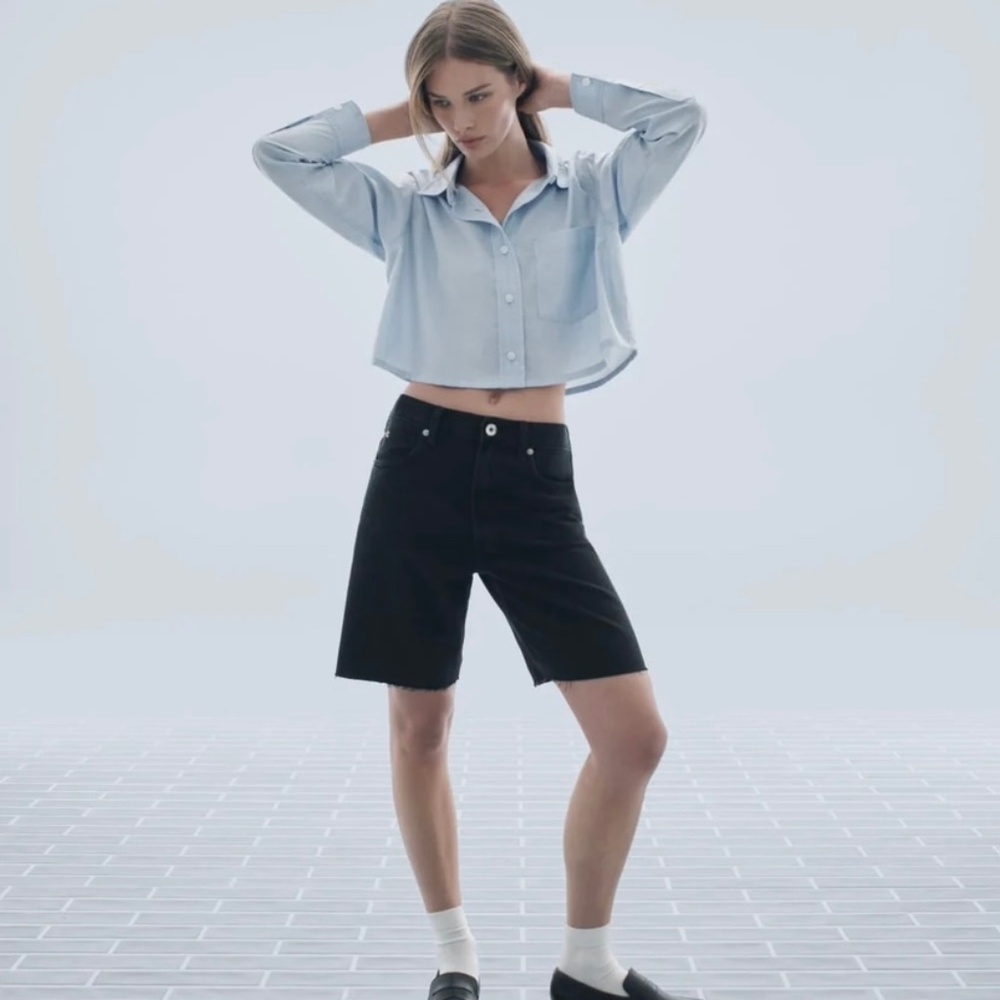 Everlane Cropped Blue Button Down Size Small